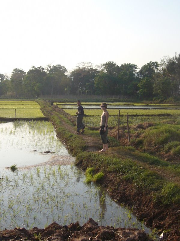 The family owns just enough rice fields to feed the family for one year,